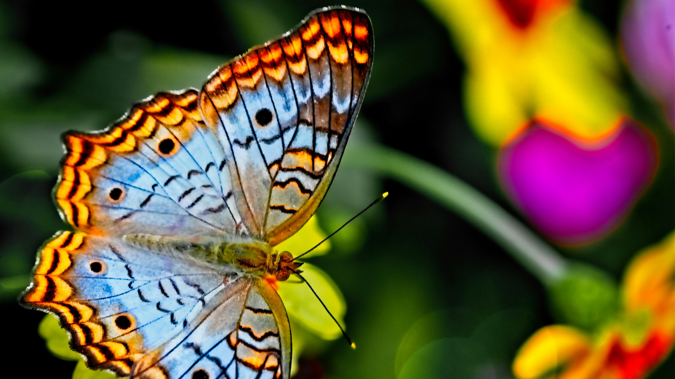 List Building Is Having An AI Metamorphosis 🐛→ 🦋